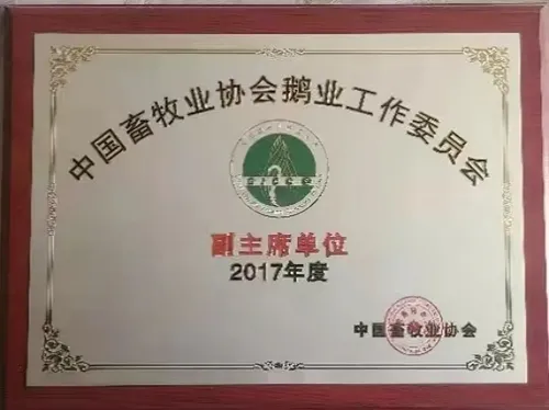 资质荣誉