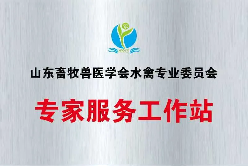 资质荣誉